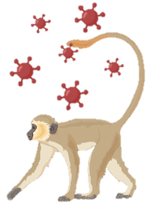 Monkeypox